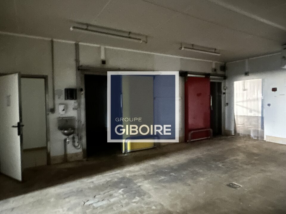 Local d'activites  - SAINT-JACQUES-DE-LA-LANDE (35.7262) - 6