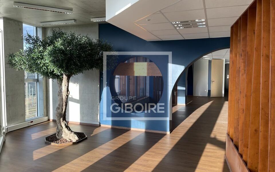 Bureaux  - ANGERS (49.017281) - vue principale