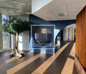 Bureaux  - ANGERS (49.017281) - vignette