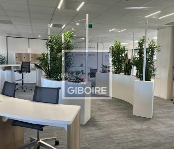 Bureaux  - ANGERS (49.017422) - vignette