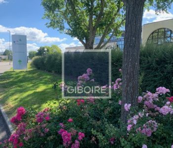 Bureaux  - CESSON SEVIGNE (35.4234) - vignette