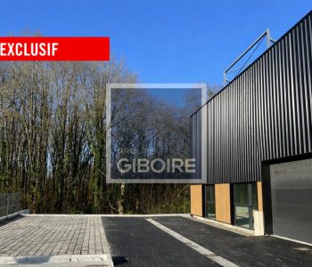 Local d'activites  - GOVEN (35.6504) - vignette
