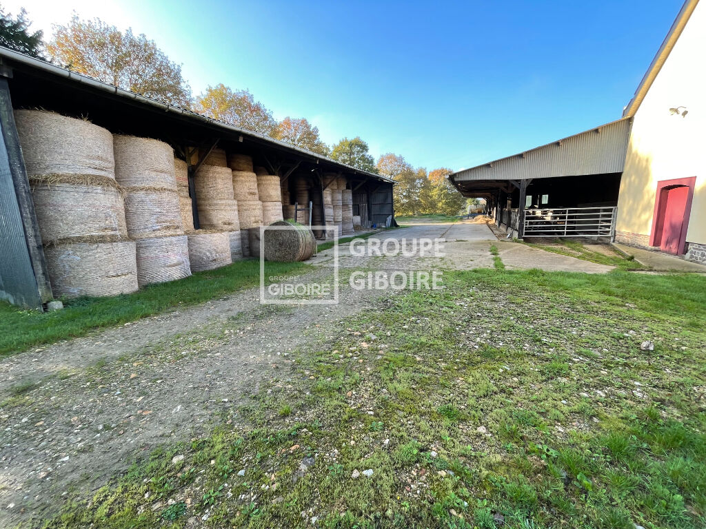 Maison T6  - SAINT GILLES (MBO26726) - 5