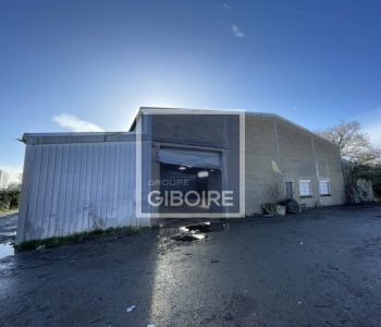 Local d'activites  - RENNES (35.6992) - vignette