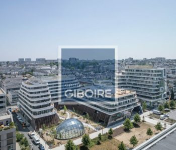 Bureaux  - ANGERS (49.017380) - vignette