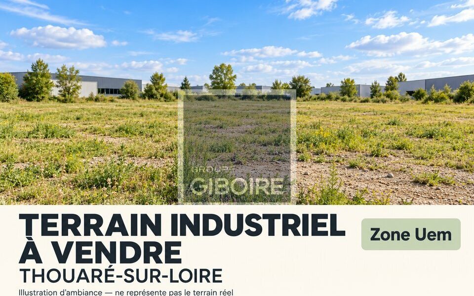Terrain  - THOUARE SUR LOIRE (44.019128) - vue principale