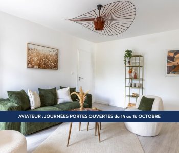 L'AVIATEUR - vignette
