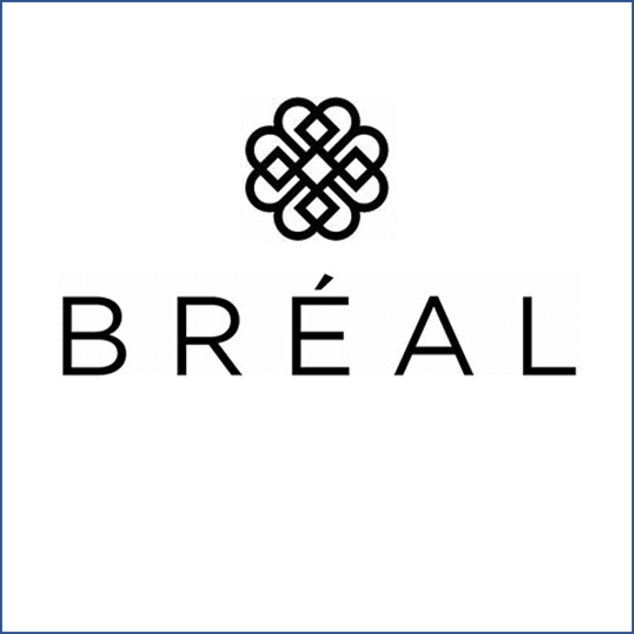 logo Breal